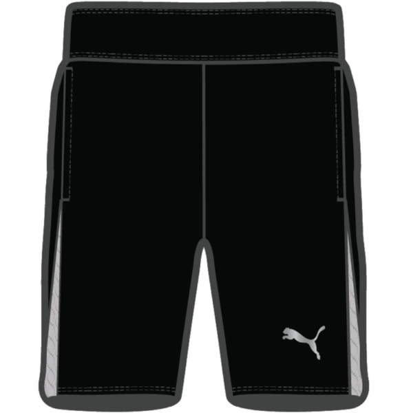 Puma Match Official Referee Short